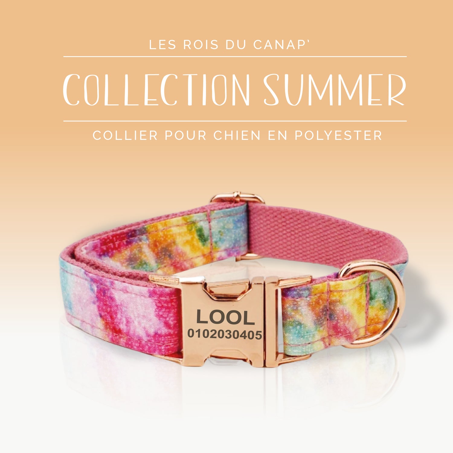 Collier Chien Personnalisé - Collection Summer - Arc en Ciel