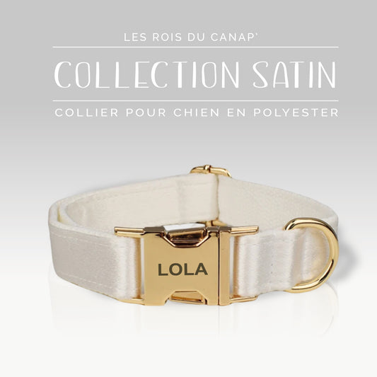 Collier Chien Personnalisé - Collection Satin Brillant Blanc