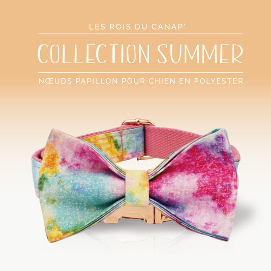 Nœud Papillon Chien - Summer - Arc en Ciel - Collier Nœud Papillon Chien - Summer - Arc en Ciel