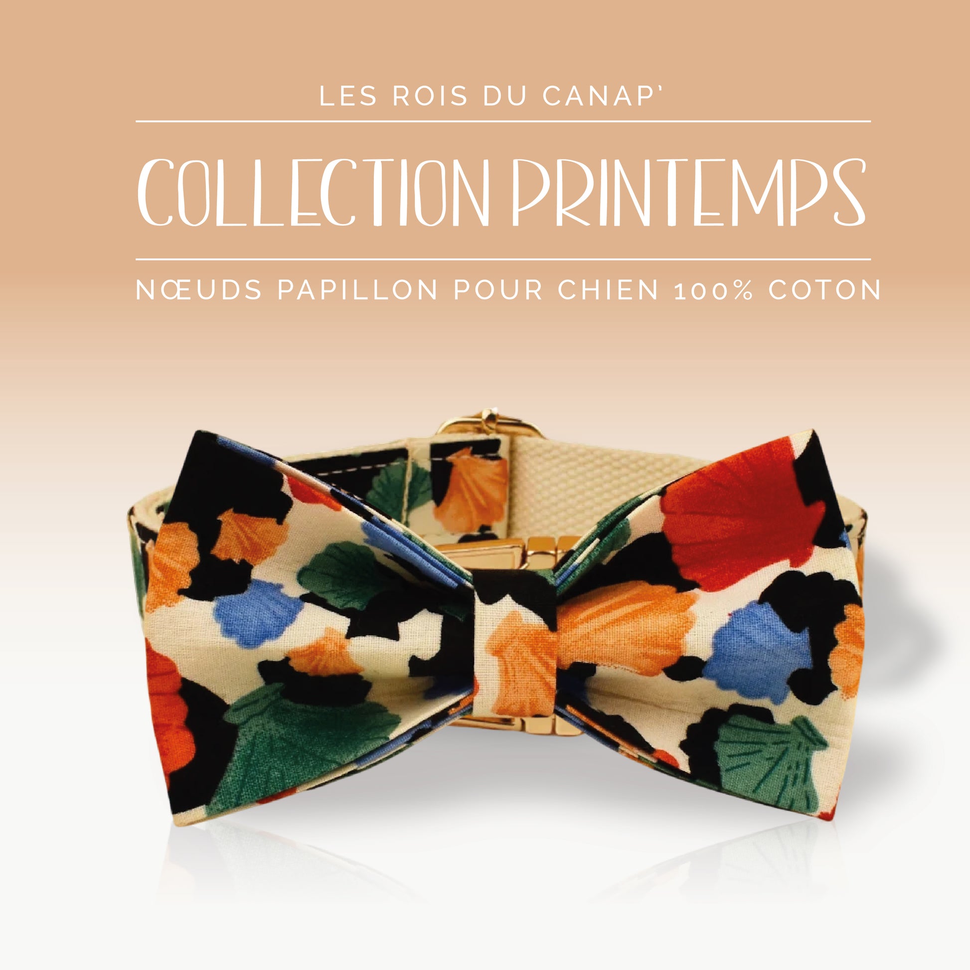 Nœud Papillon Chien - Printemps - Multicolor - Collier Nœud Papillon Chien - Printemps - Multicolor