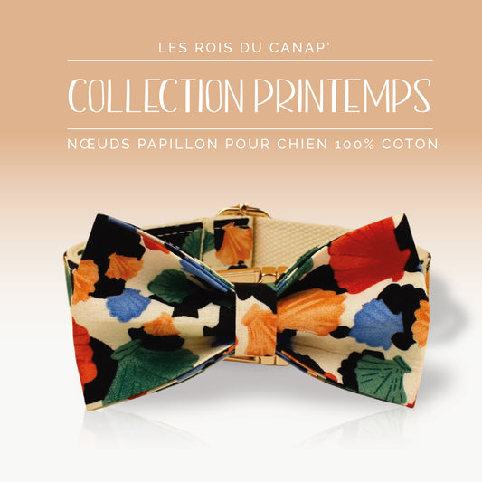 Nœud Papillon Chien - Printemps - Multicolor - Collier Nœud Papillon Chien - Printemps - Multicolor
