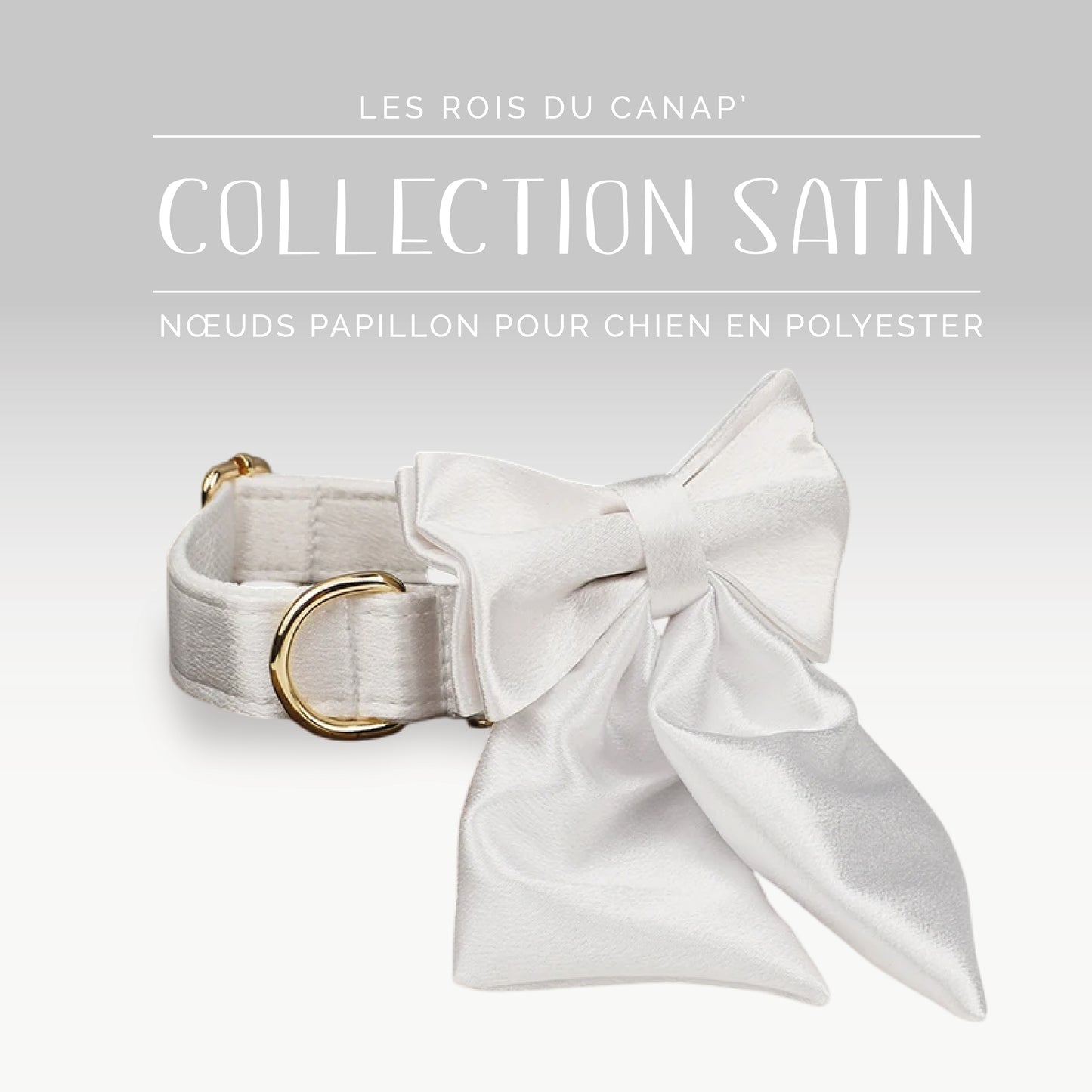 Nœud Papillon Chien - Satin - Blanc - Collier Nœud Papillon Chien - Satin - Blanc