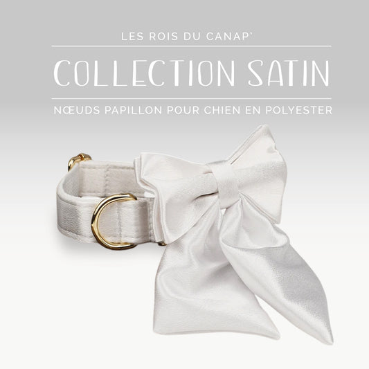 Nœud Papillon Chien - Satin - Blanc - Collier Nœud Papillon Chien - Satin - Blanc