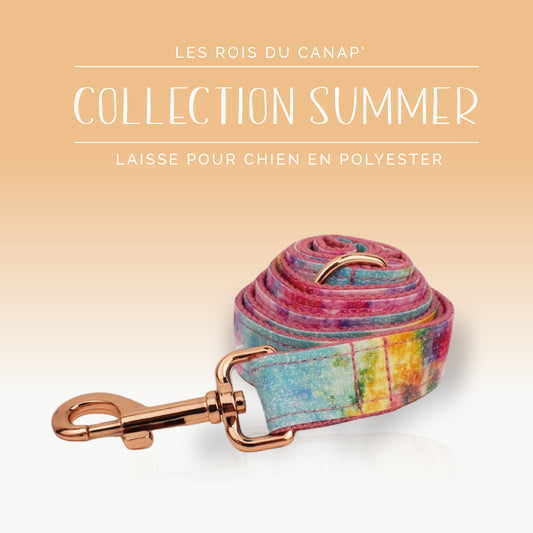 Laisse Chien - Summer - Arc en Ciel - Collier Laisse Chien - Summer - Arc en Ciel