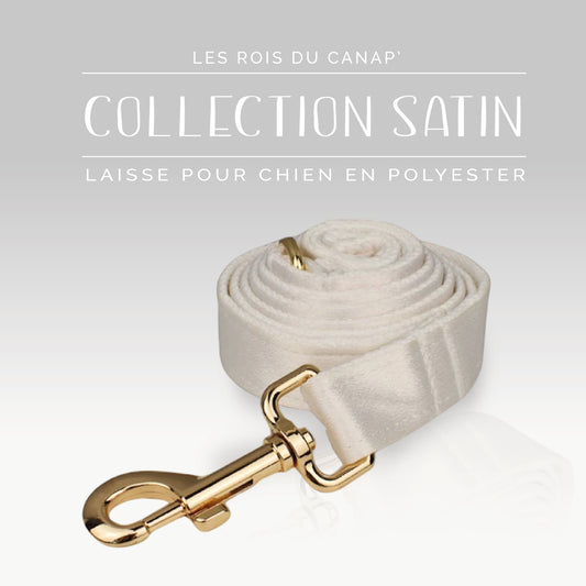 Laisse Chien - Satin - Blanc - Collier Laisse Chien - Satin - Blanc