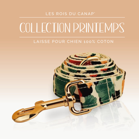 Laisse Chien - Printemps - Multicolor Coquillage - Collier Laisse Chien - Printemps - Multicolor Coquillage