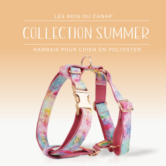Harnais Chien - Summer - Arc en Ciel - Collier Harnais Chien - Summer - Arc en Ciel