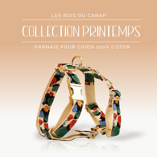 Harnais Chien - Printemps - Multicolor - Collier Harnais Chien - Printemps - Multicolor