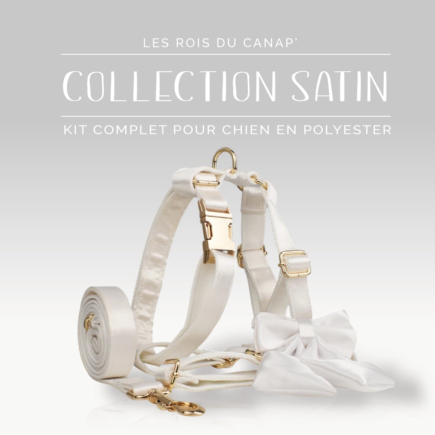 Kit Complet Chien 4 pièces - Satin - Blanc - Collier Kit Complet Chien 4 pièces - Satin - Blanc
