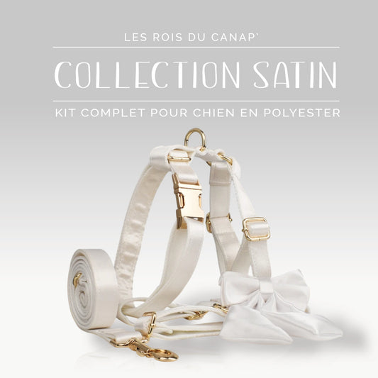 Kit Complet Chien 4 pièces - Satin - Blanc - Collier Kit Complet Chien 4 pièces - Satin - Blanc
