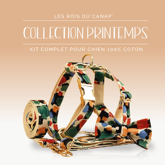 Kit Complet Chien 4 pièces - Printemps - Multicolor