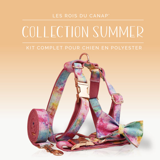 Kit Complet Chien 4 pièces - Summer - Arc en Ciel