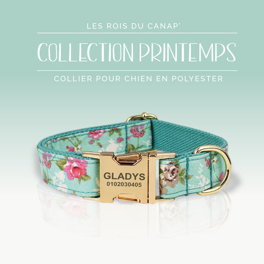 Collier Chien Personnalisé - Collection Printemps - Bleu à Fleur Rose
