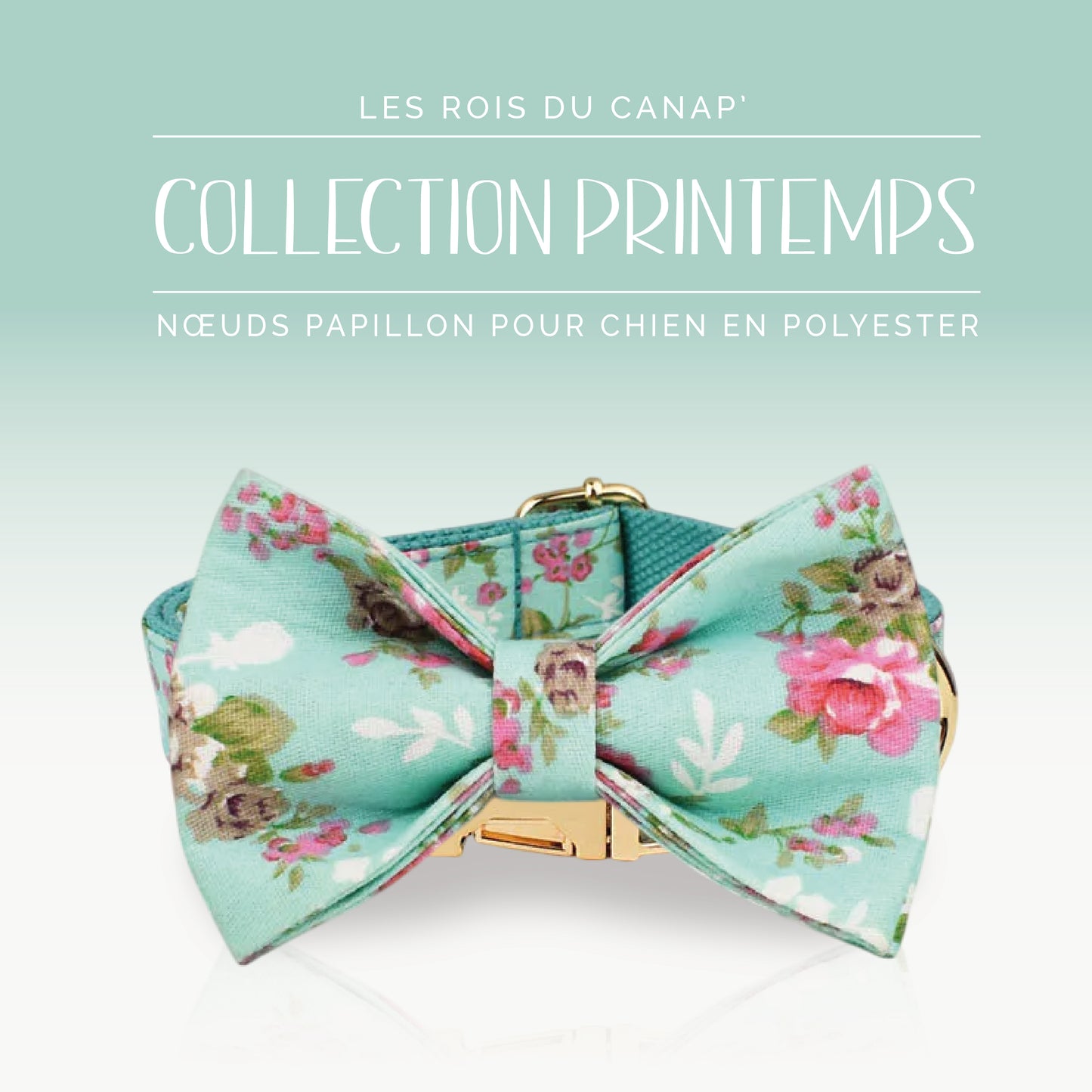 Nœud Papillon Chien - Printemps - Bleu et Rose à fleurs - Collier