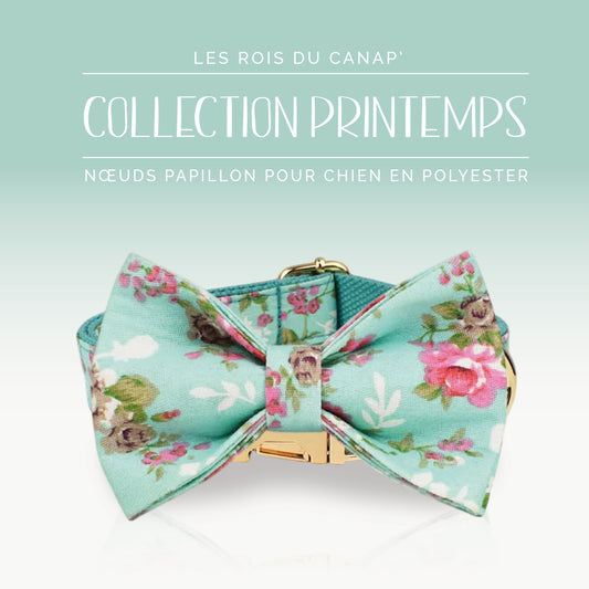 Nœud Papillon Chien - Printemps - Bleu et Rose à fleurs - Collier