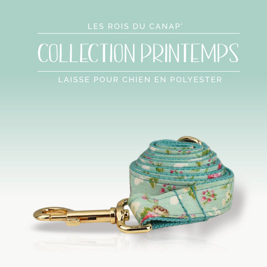 Laisse Chien - Printemps - Bleu et Rose à fleurs - Collier Laisse Chien - Printemps - Bleu et Rose à fleurs