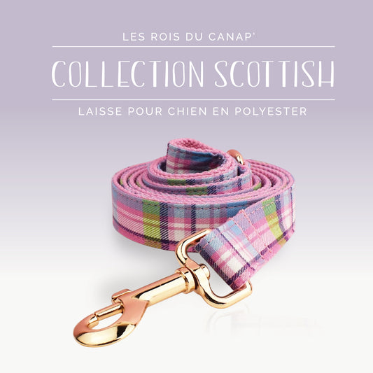 Laisse Chien - Scottish - Rose, Bleue et Verte - Collier Laisse Chien - Scottish - Rose, Bleue et Verte