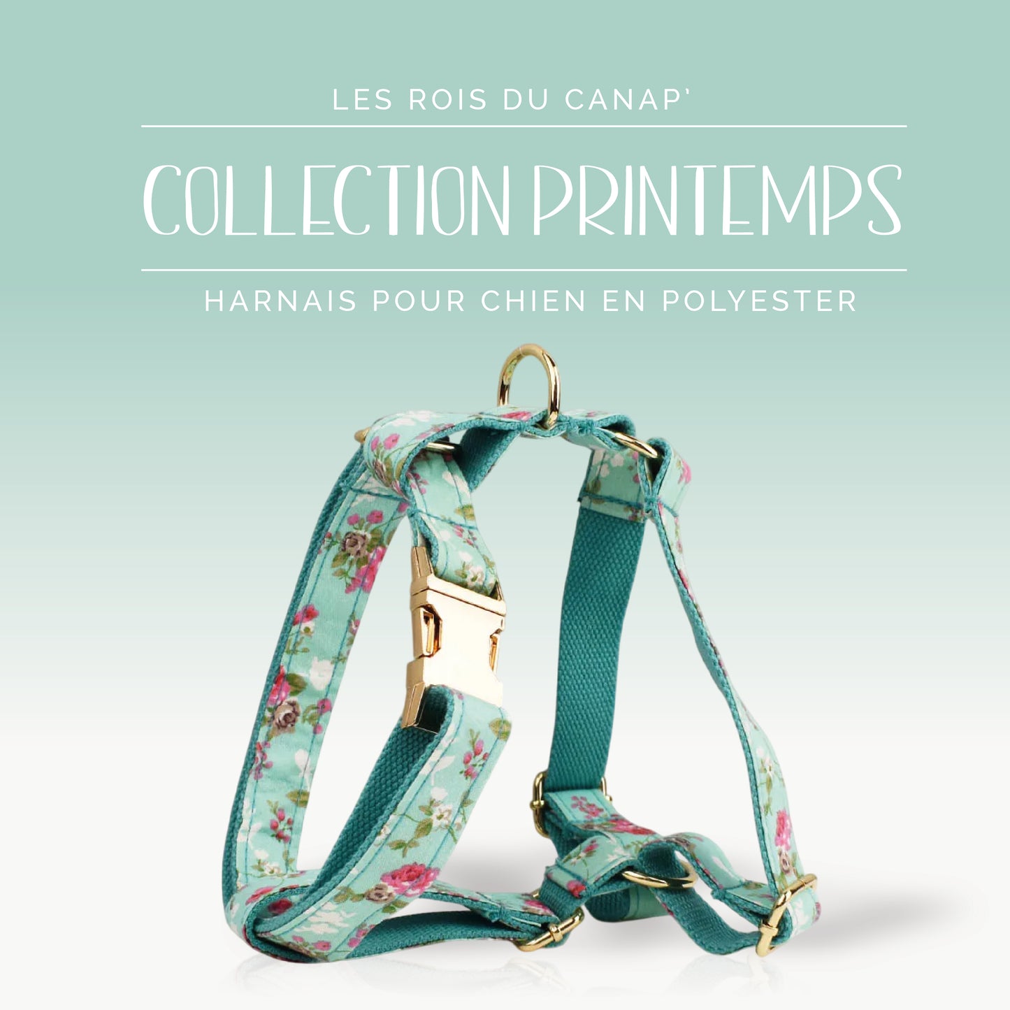 Harnais Chien - Printemps - Bleu et Rose à fleurs - Collier