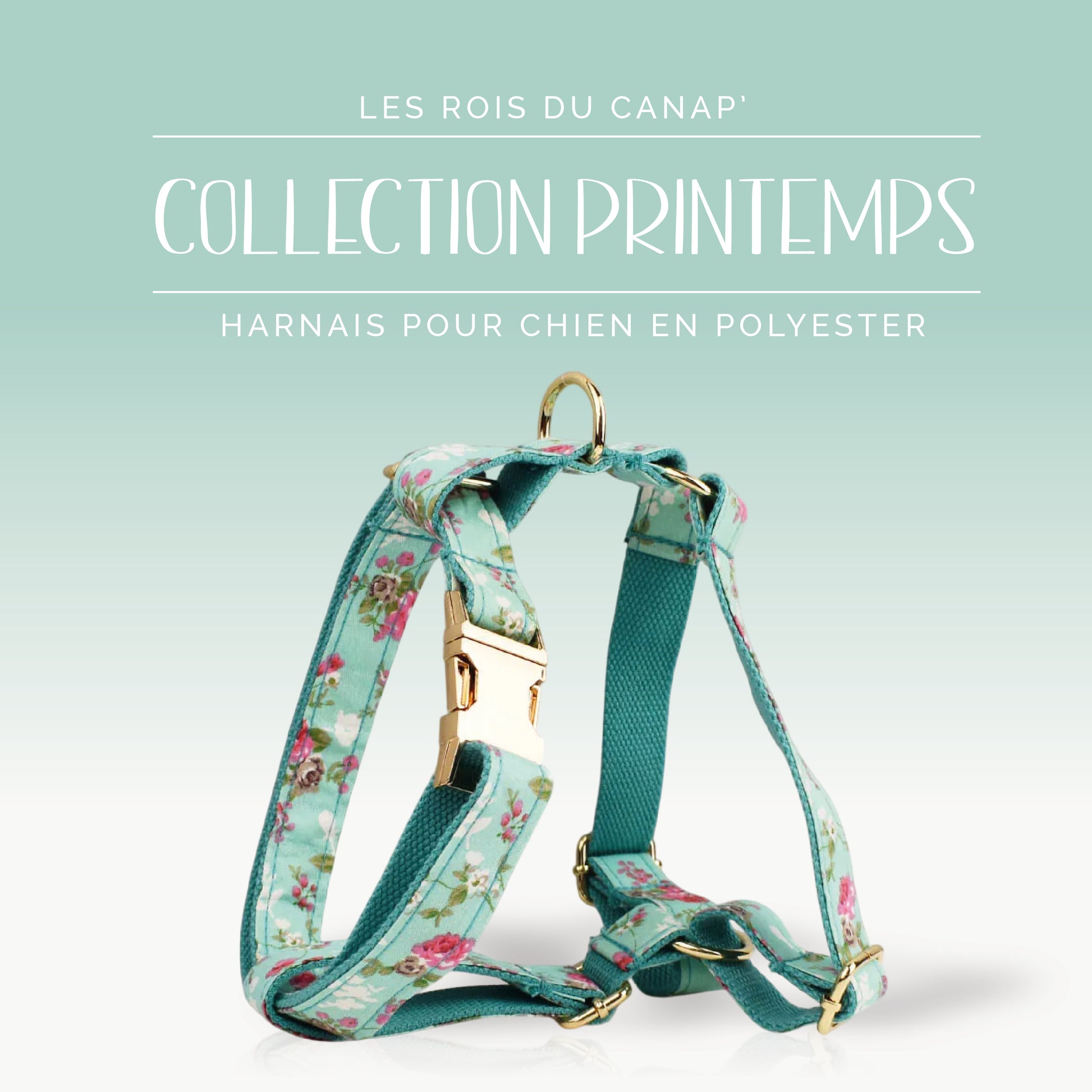 Harnais Chien - Printemps - Bleu et Rose à fleurs - Collier