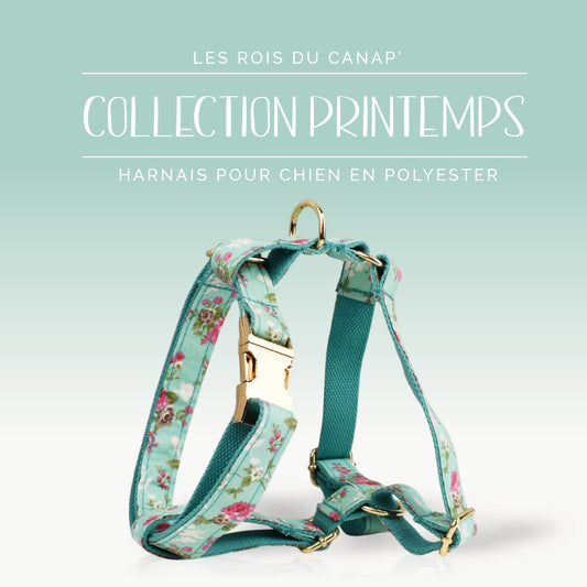 Harnais Chien - Printemps - Bleu et Rose à fleurs - Collier