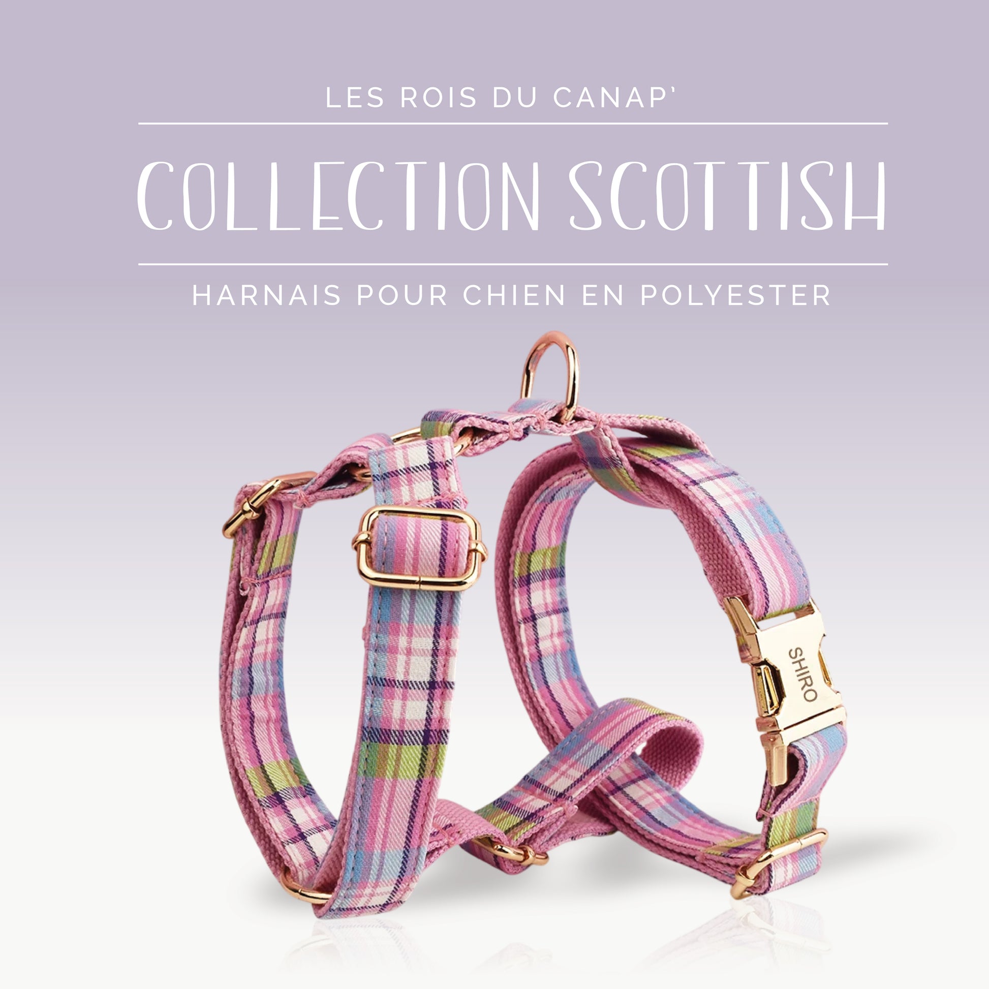 Harnais Chien - Scottish - Rose, Bleu et Vert - Collier Harnais Chien - Scottish - Rose, Bleu et Vert