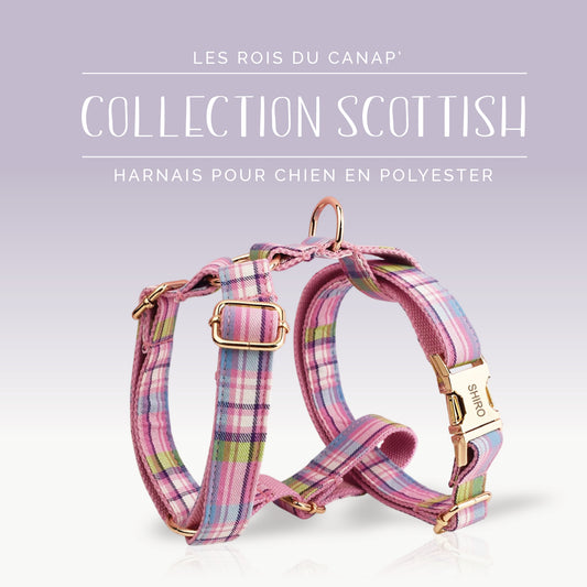 Harnais Chien - Scottish - Rose, Bleu et Vert - Collier Harnais Chien - Scottish - Rose, Bleu et Vert