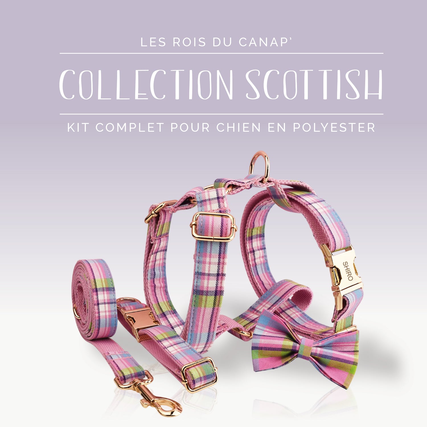  Kit Complet Chien 4 pièces - Scottish - Rose, Bleu et Vert