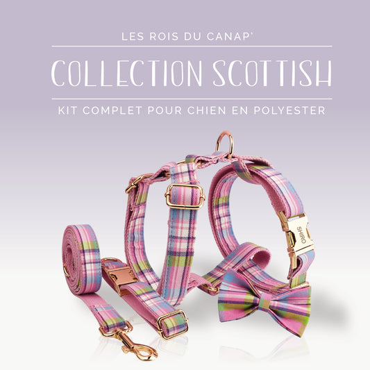  Kit Complet Chien 4 pièces - Scottish - Rose, Bleu et Vert