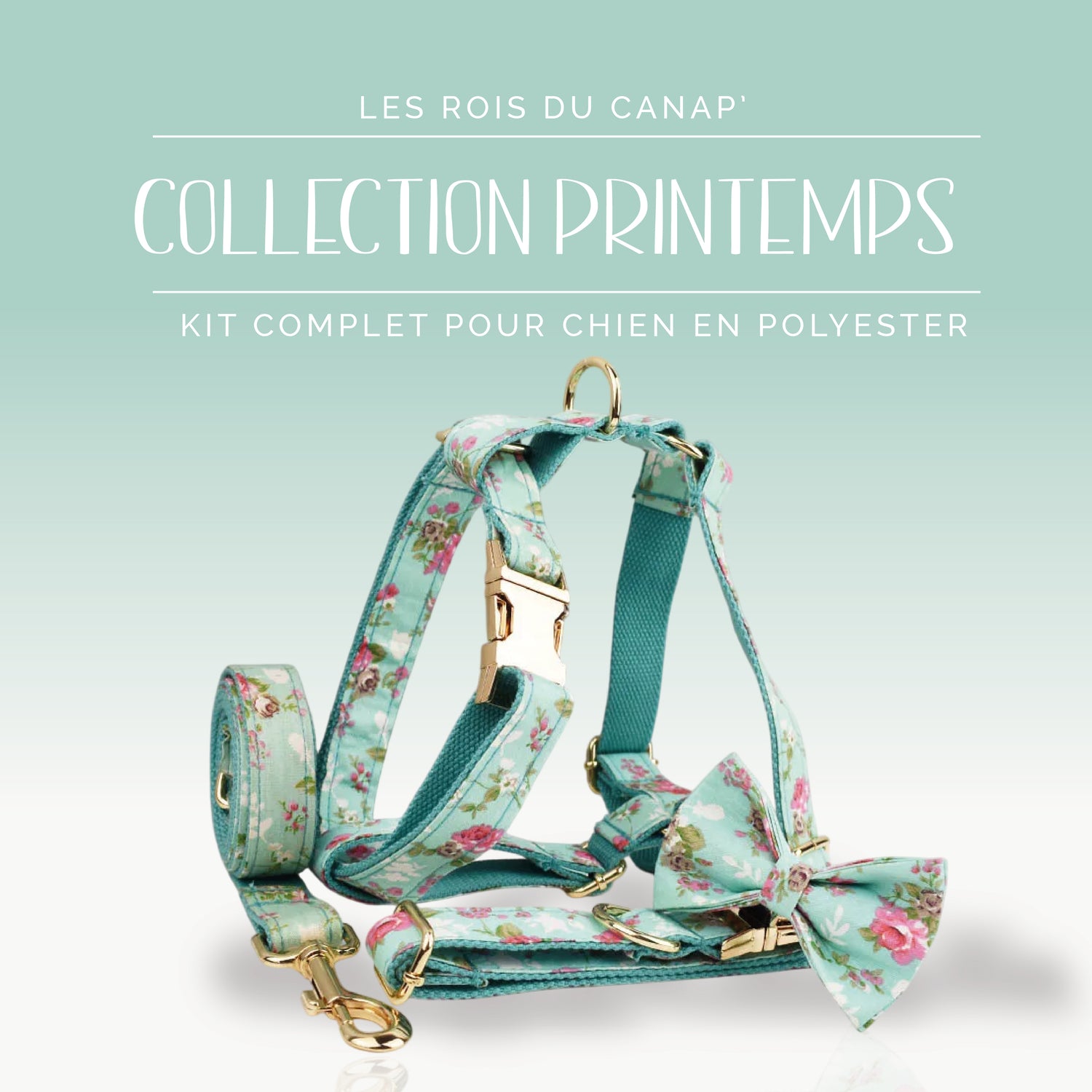 Kit Complet Chien 4 pièces - Printemps - Bleu et Rose à fleurs - Collier