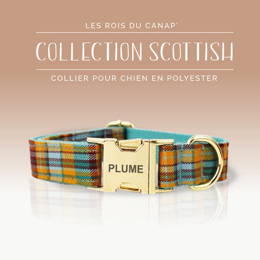 Collier Chien Personnalisé - Collection Scottish - Rose, Bleu et Vert
