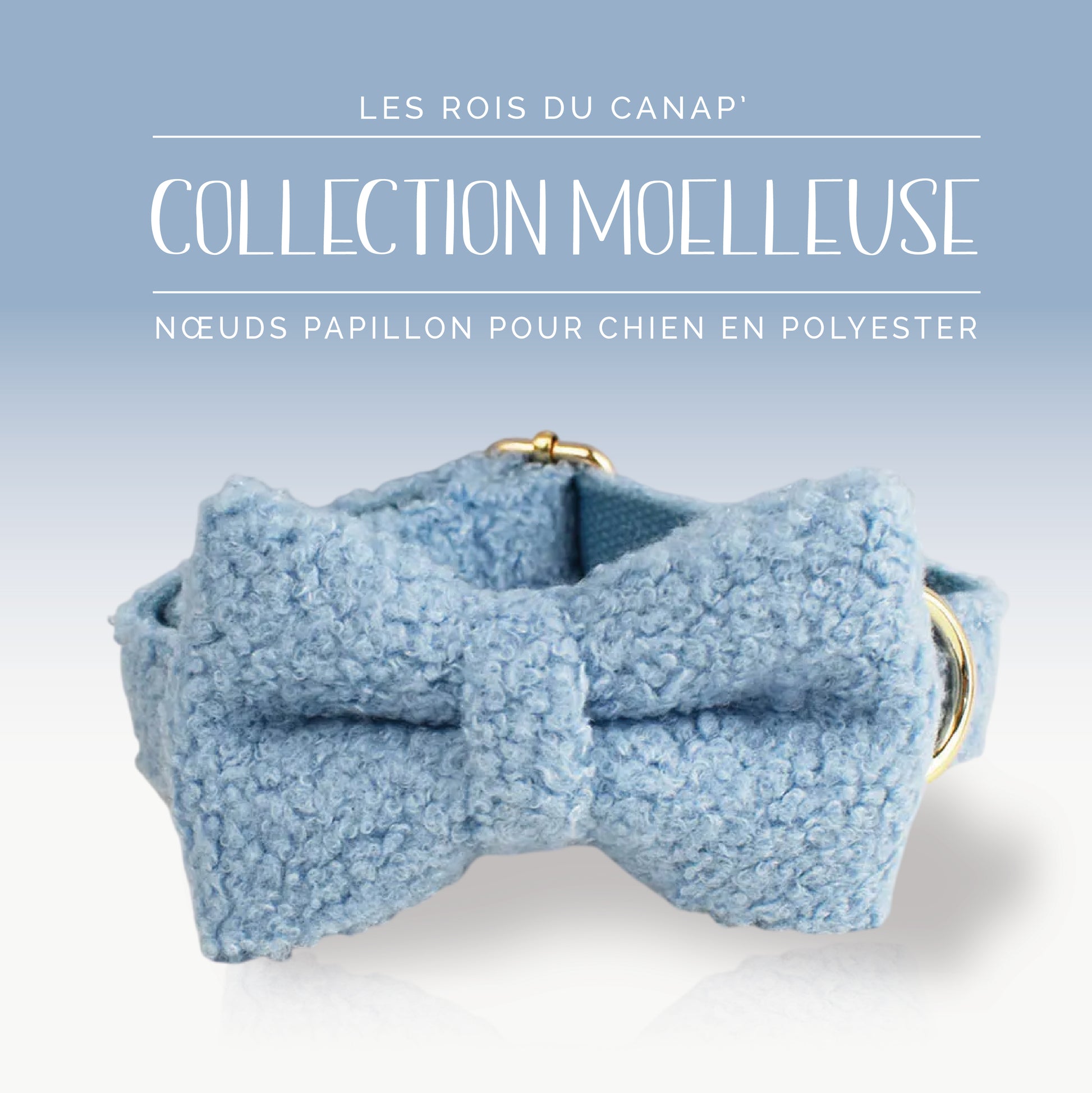 Nœud Papillon Chien - Moelleuse - Bleu - Collier Nœud Papillon Chien - Moelleuse - Bleu