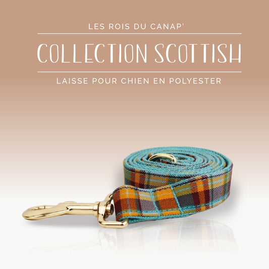 Laisse Chien - Scottish - Orange et Bleue - Collier Laisse Chien - Scottish - Orange et Bleue