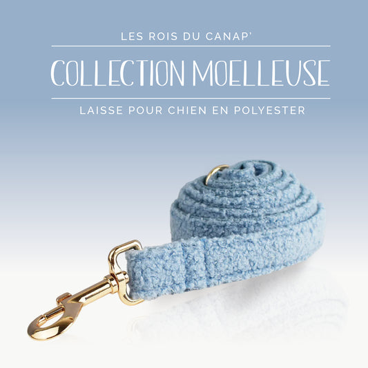 Laisse Chien - Moelleuse - Bleu - Collier Laisse Chien - Moelleuse - Bleu