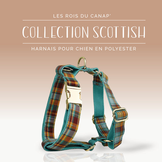 Harnais Chien - Scottish - Orange et Bleue - Collier Harnais Chien - Scottish - Orange et Bleue