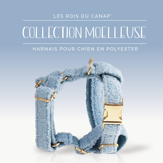Harnais Chien - Moelleuse - Bleu - Collier Harnais Chien - Moelleuse - Bleu