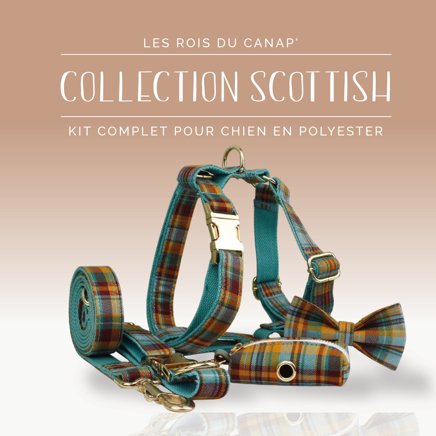  Kit Complet Chien 5 pièces - Scottish - Orange et Bleu