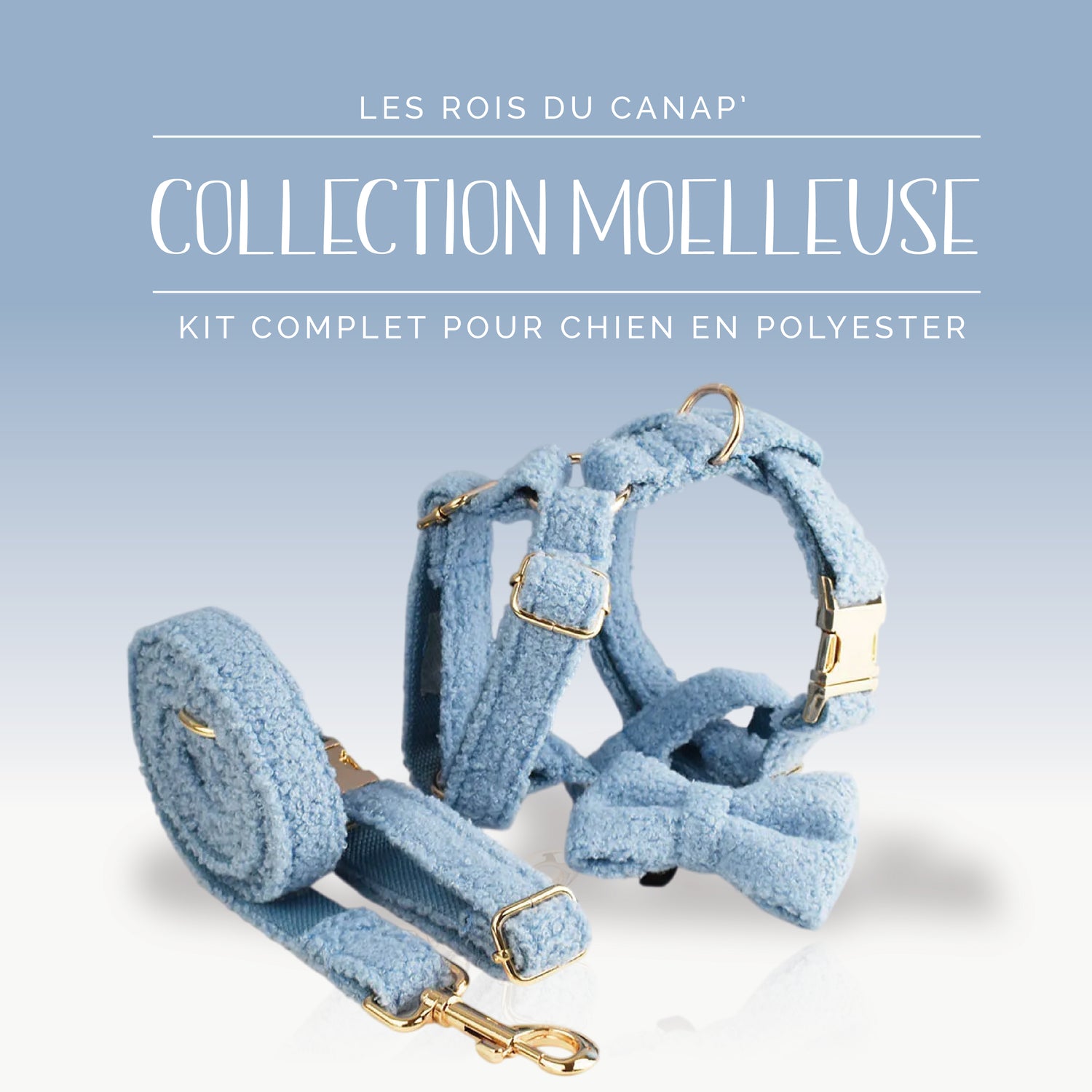 Kit Complet Chien 4 pièces - Moelleuse - Bleu - Collier Kit Complet Chien 4 pièces - Moelleuse - Bleu