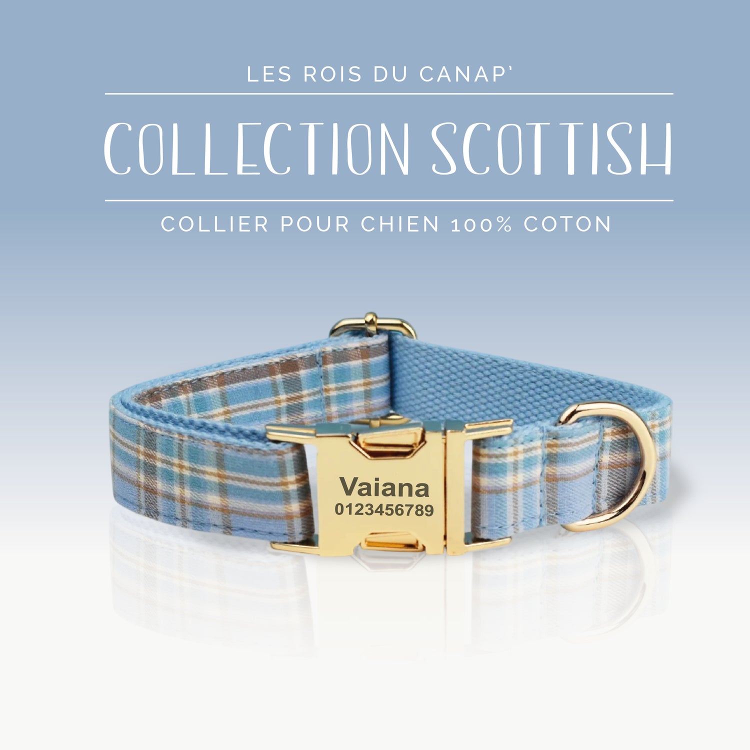 Collier Chien Personnalisé - Scottish - Bleu et Marron