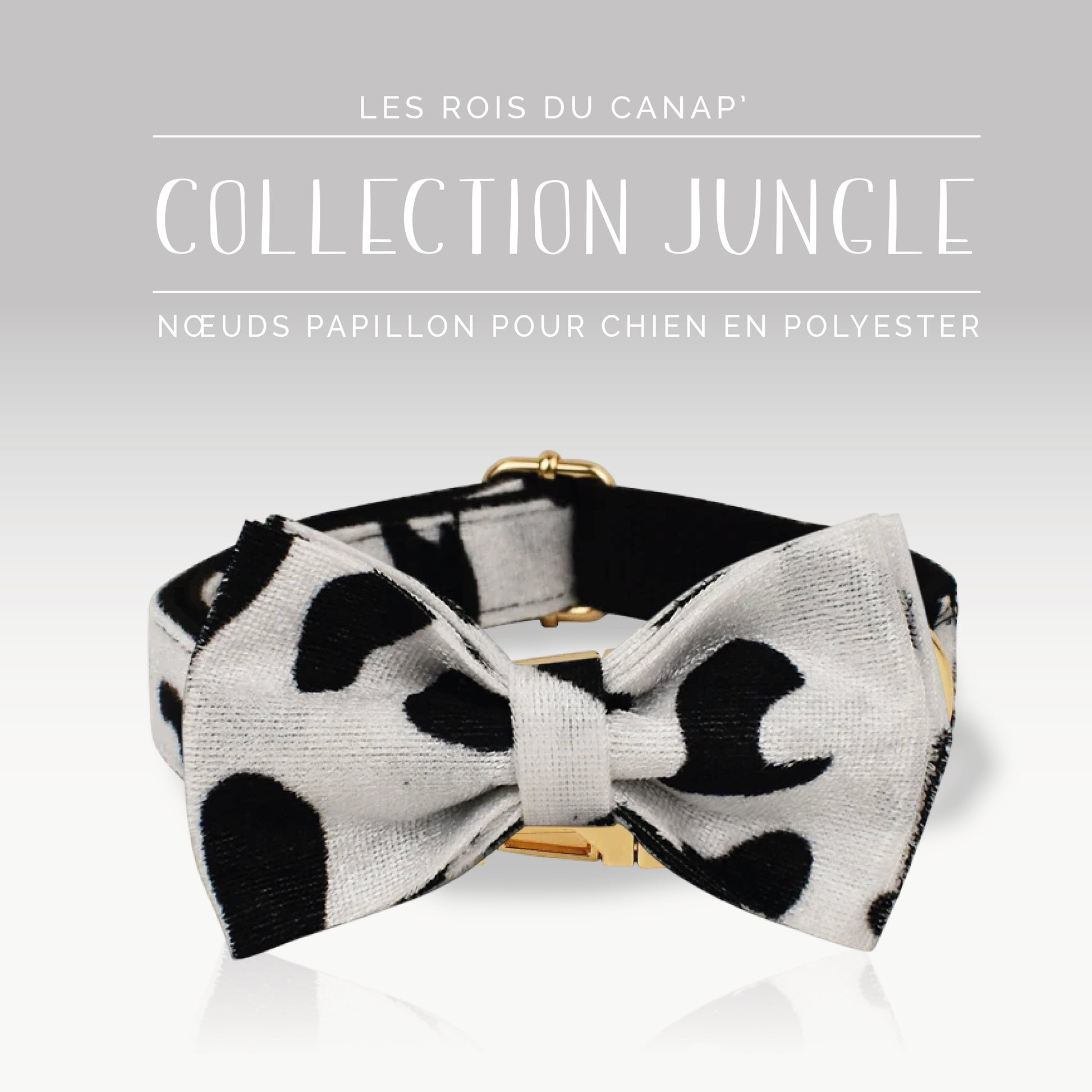 Nœud Papillon Chien - Jungle - Vache - Collier Nœud Papillon Chien - Jungle - Vache