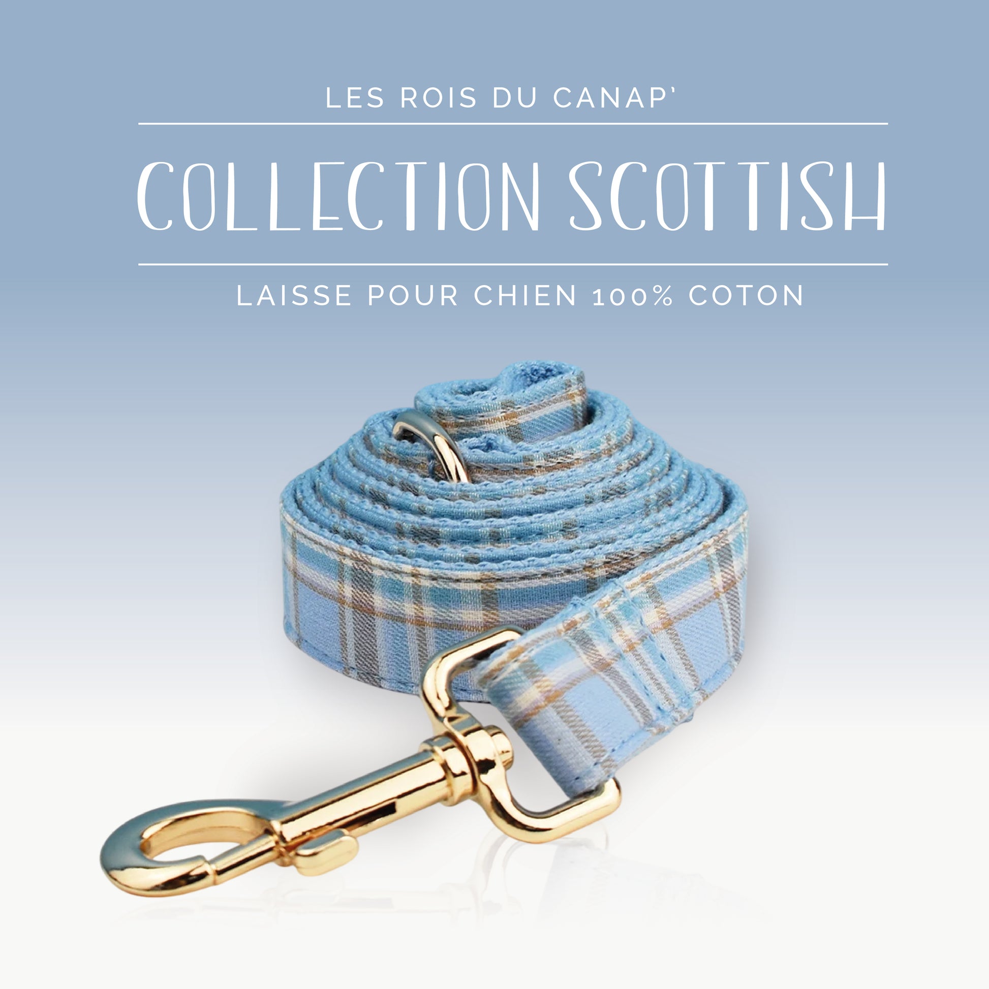Laisse Chien - Scottish - Bleu et Marron - Collier Laisse Chien - Scottish - Bleu et Marron