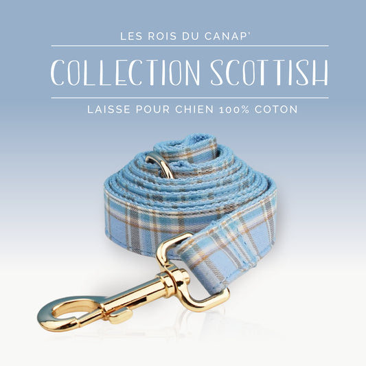 Laisse Chien - Scottish - Bleu et Marron - Collier Laisse Chien - Scottish - Bleu et Marron
