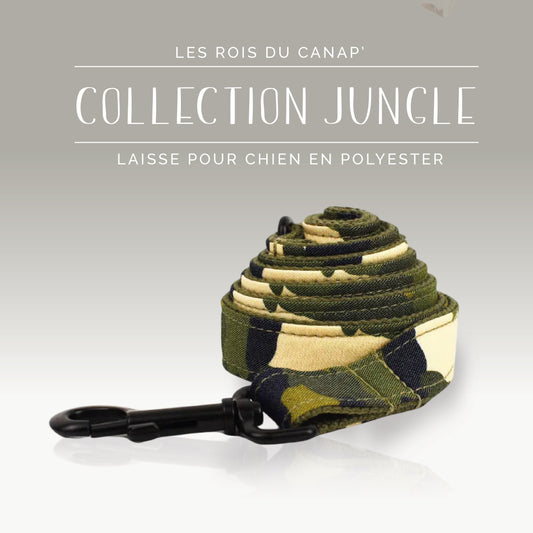 Laisse Chien - Jungle - Camouflage - Collier Laisse Chien - Jungle - Camouflage