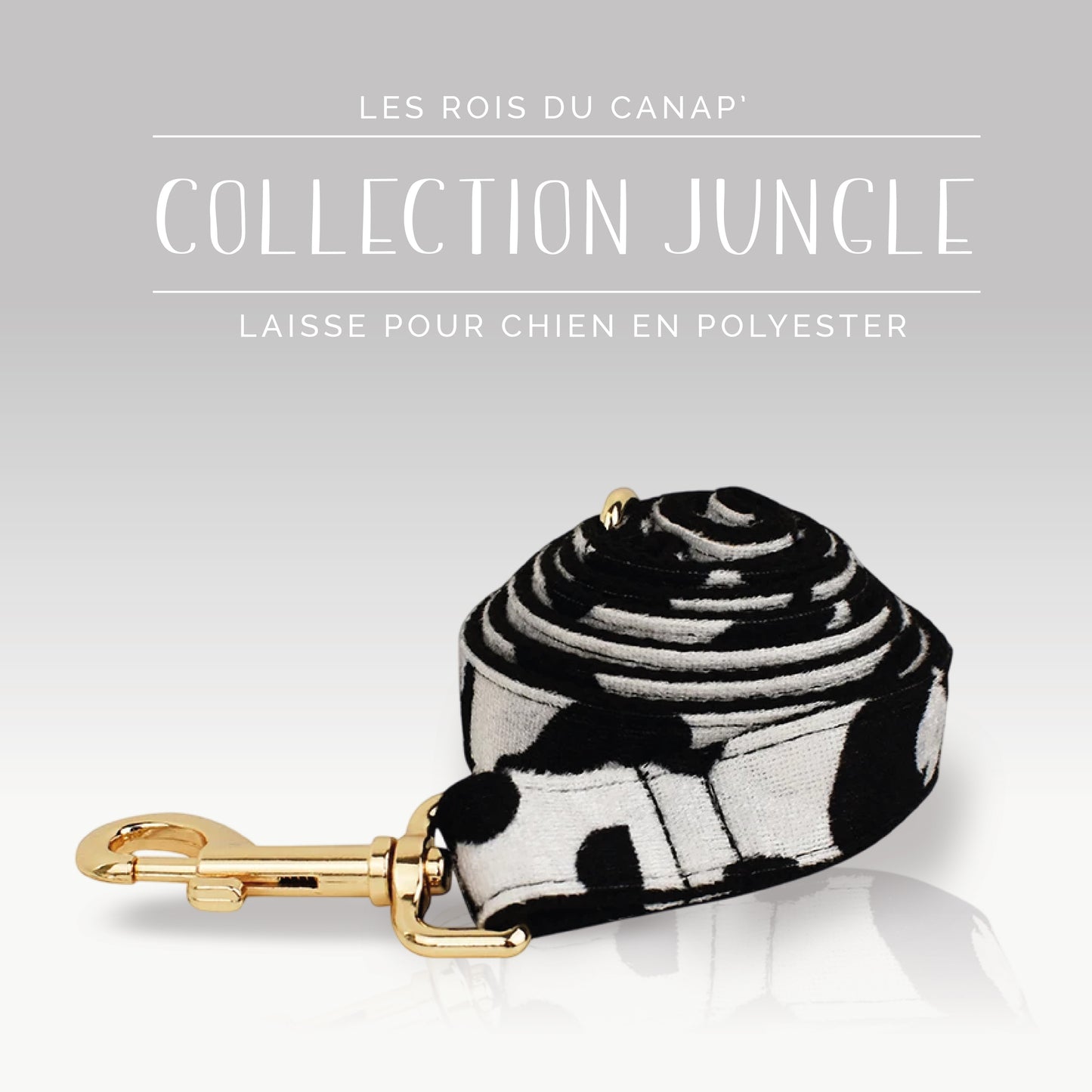 Laisse Chien - Jungle - Vache - mettre taille - Collier Laisse Chien - Jungle - Vache - mettre taille