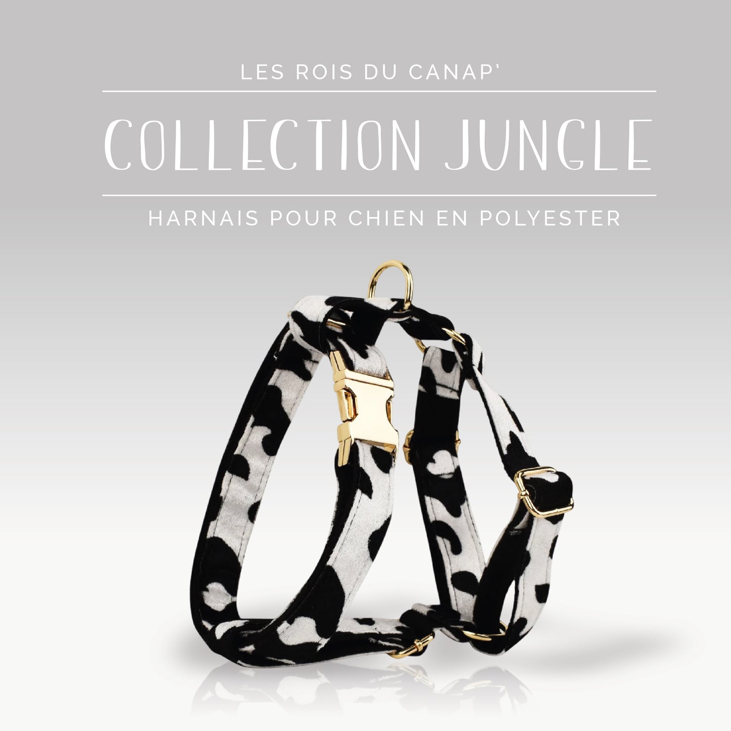 Harnais Chien - Jungle - Vache - Collier Harnais Chien - Jungle - Vache