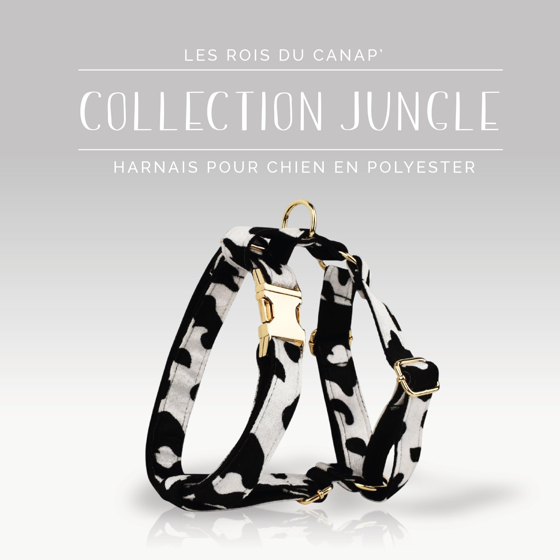 Harnais Chien - Jungle - Vache - Collier Harnais Chien - Jungle - Vache