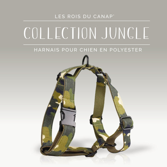 Harnais Chien - Jungle - Camouflage - Collier Harnais Chien - Jungle - Camouflage