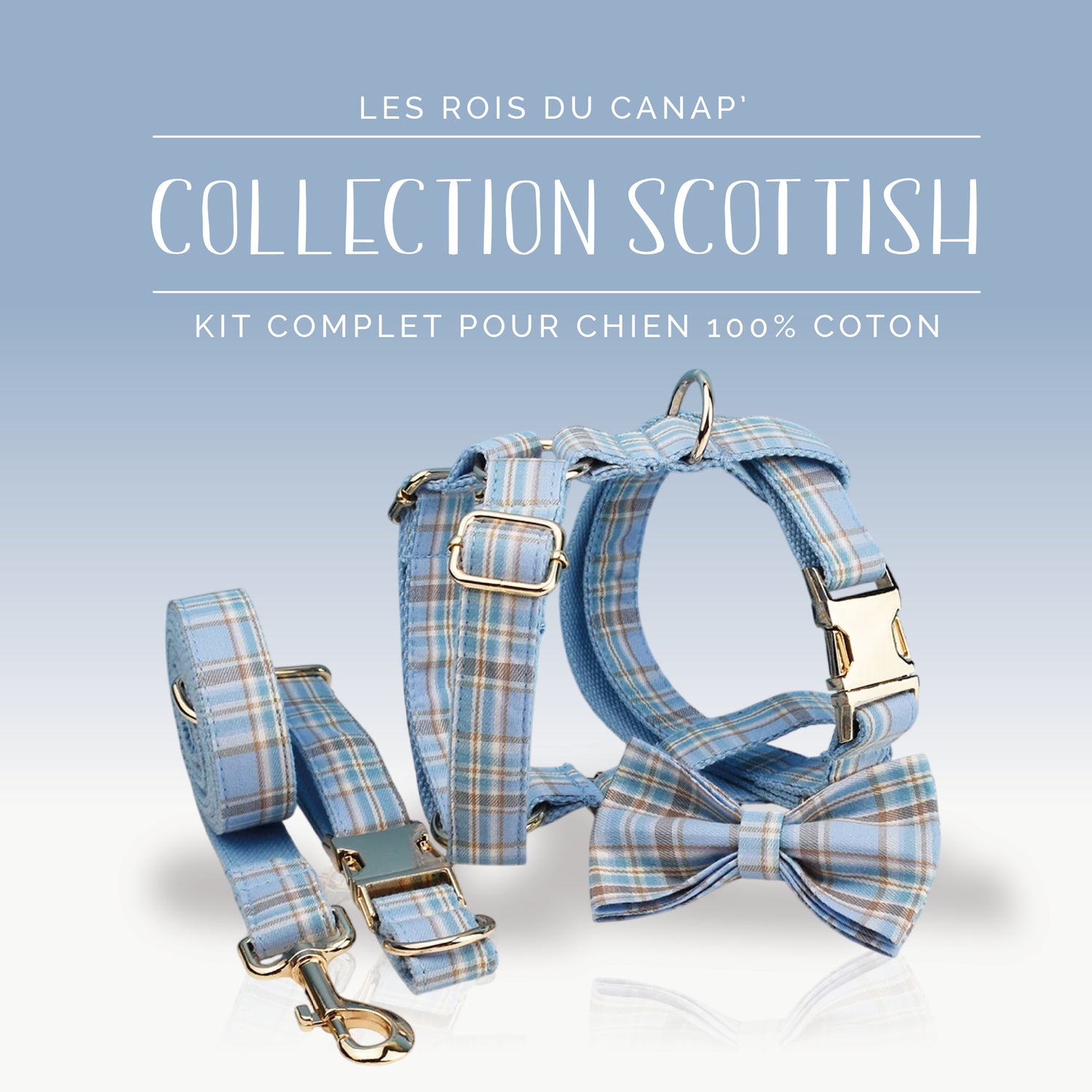  Kit Complet Chien 4 pièces - Scottish - Bleu et Marron
