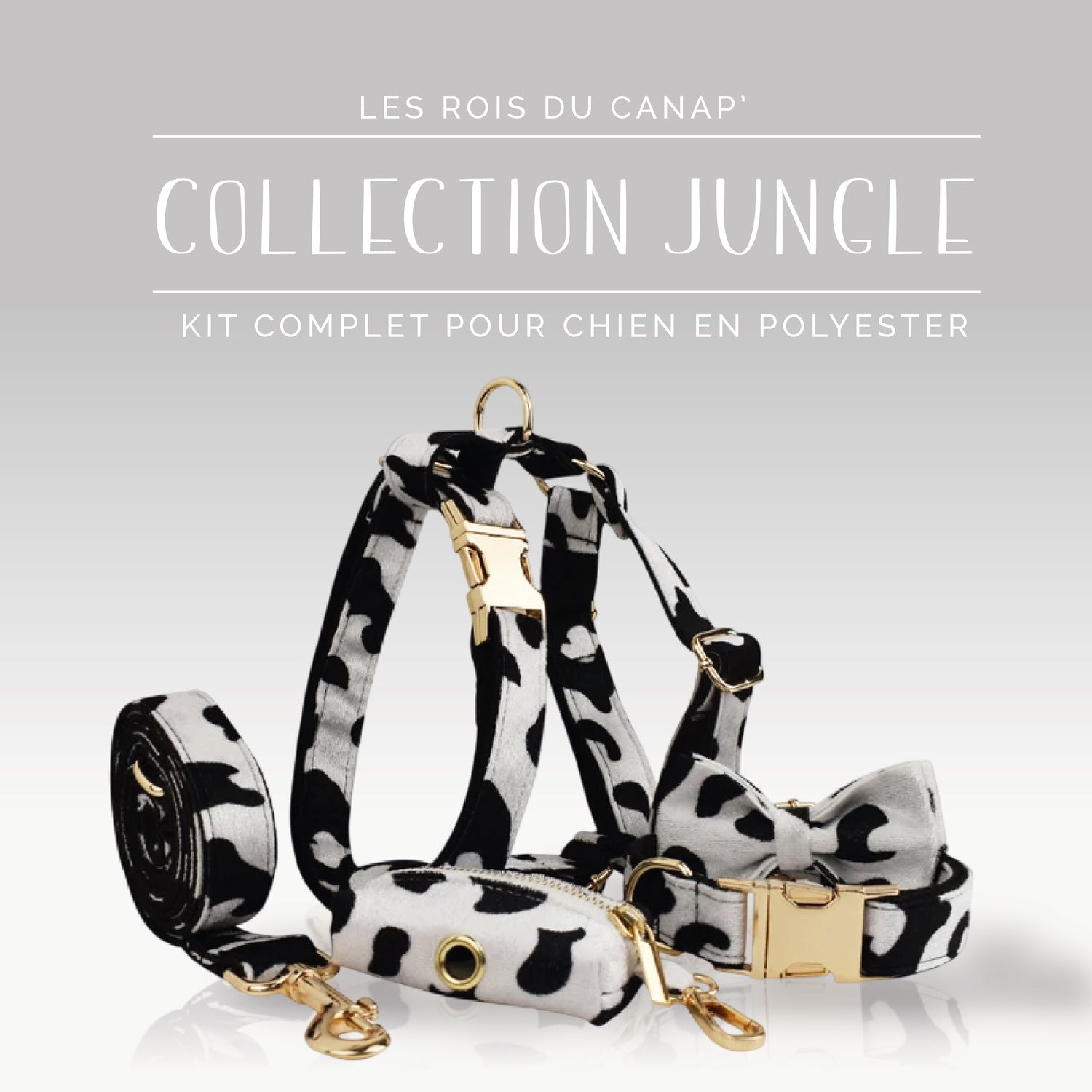 Kit Complet Chien 5 pièces - Jungle - Vache