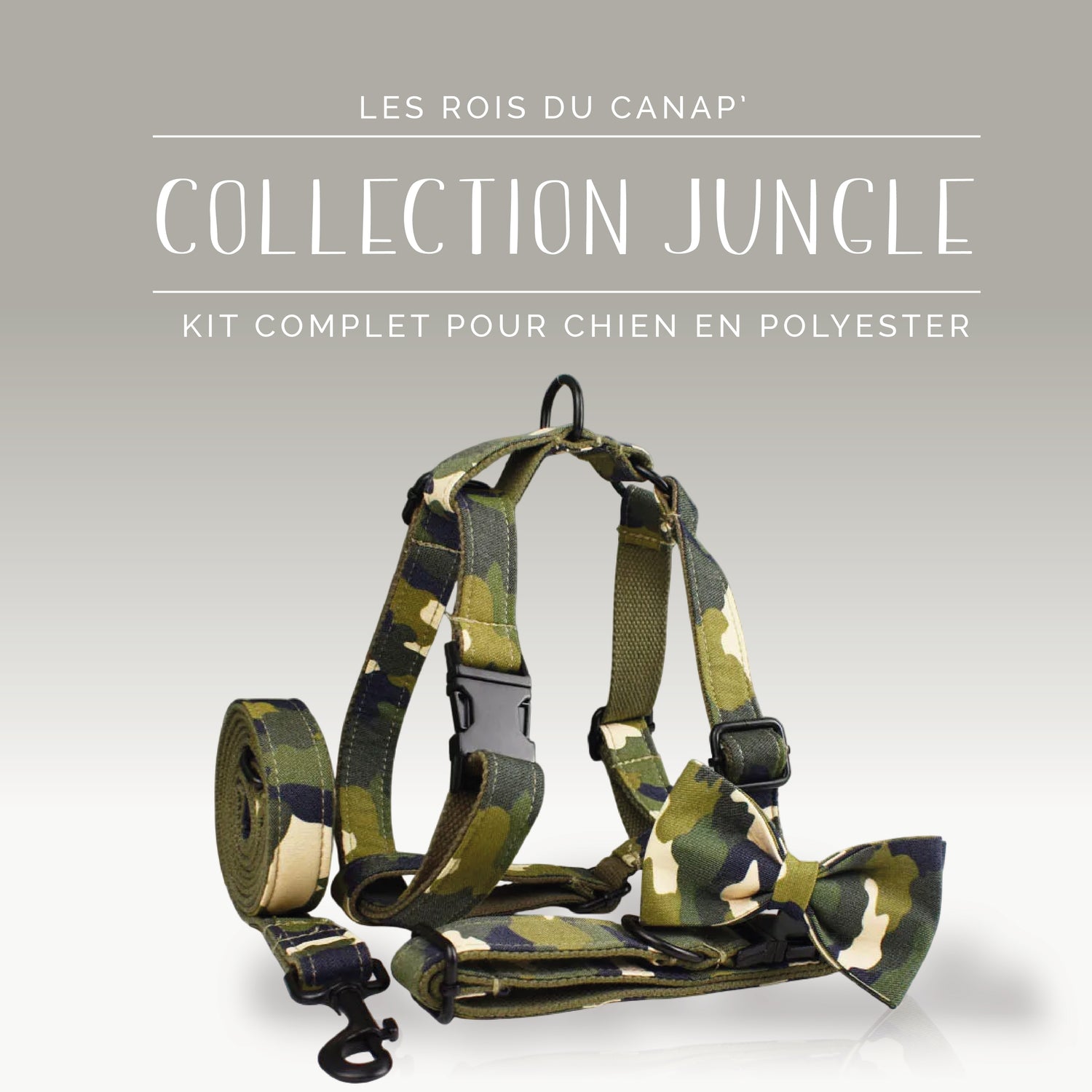 Kit Complet Chien 4 pièces - Jungle - Camouflage - Collier