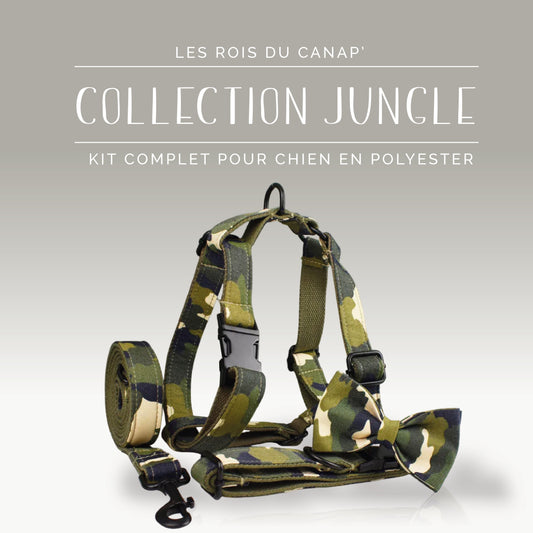 Kit Complet Chien 4 pièces - Jungle - Camouflage - Collier